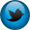 twitter button